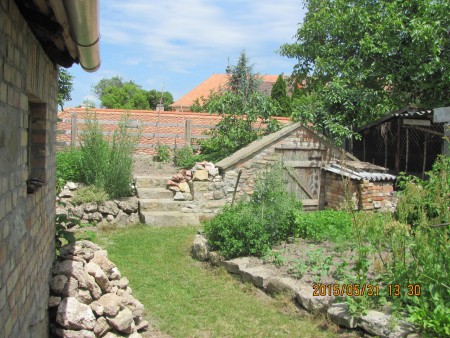 Eötvös u. 8. Hátsó kert  pincével